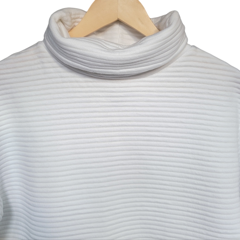 Zara White Ottoman Ribbed Sweater Dress Roll Neck Minimalist Women’s Sma… - Picture 9 of 16